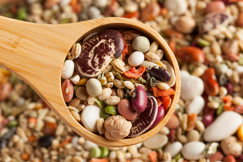proteínas vegetales
